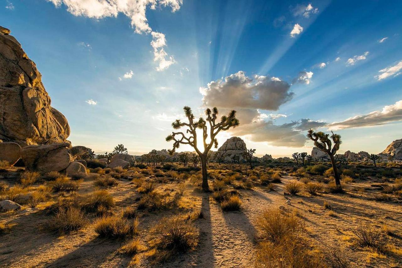 Skyhouse Villa Joshua Tree Kültér fotó