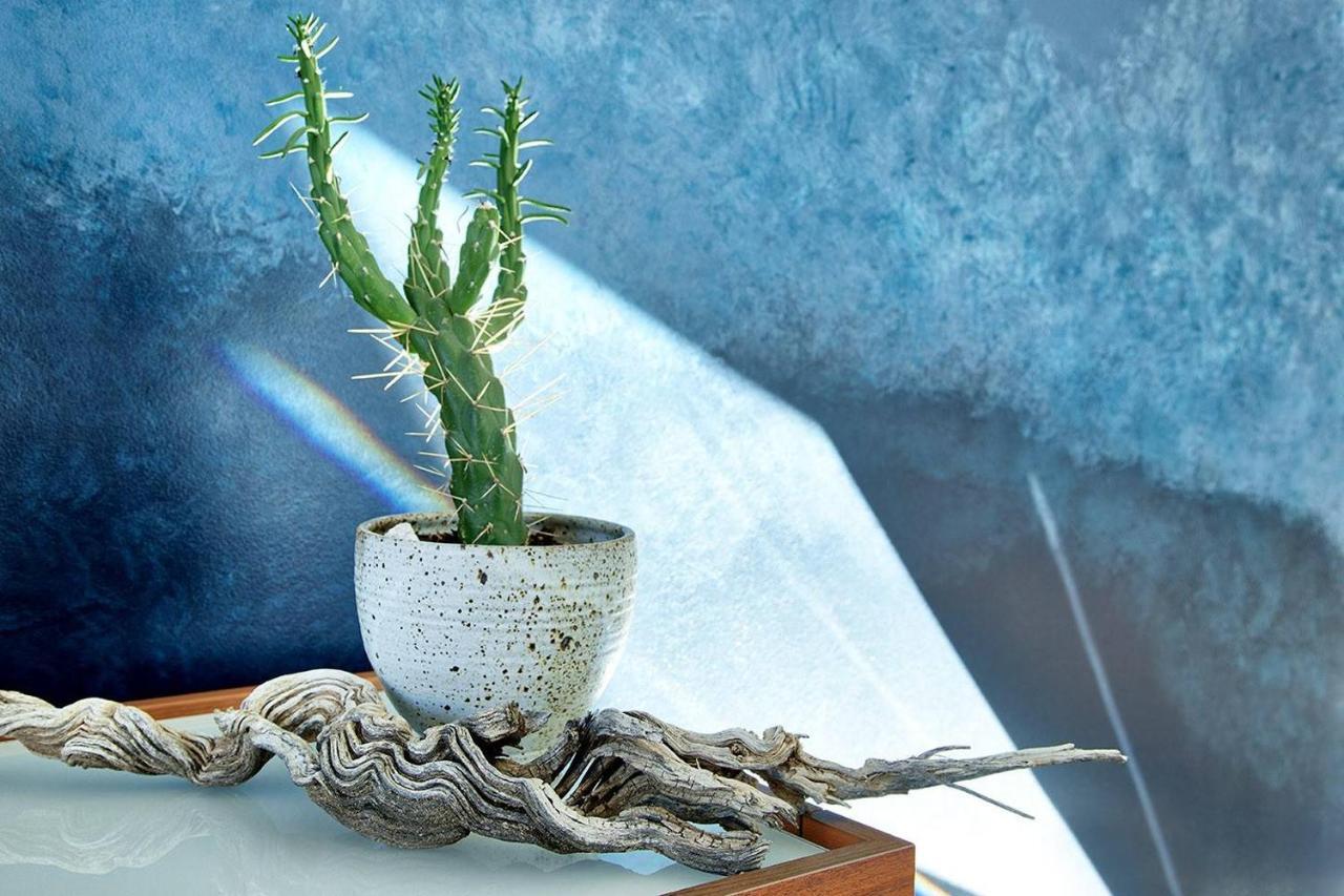 Skyhouse Villa Joshua Tree Kültér fotó